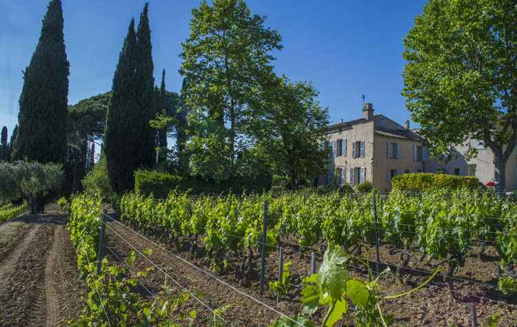 Domaine Tempier