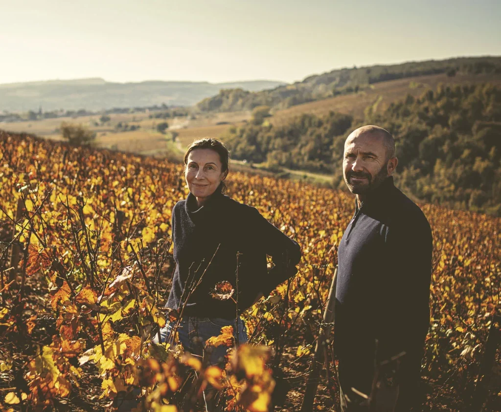 Domaine Marc Colin et Fils